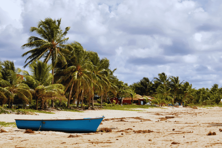 Praia do Forte (2)